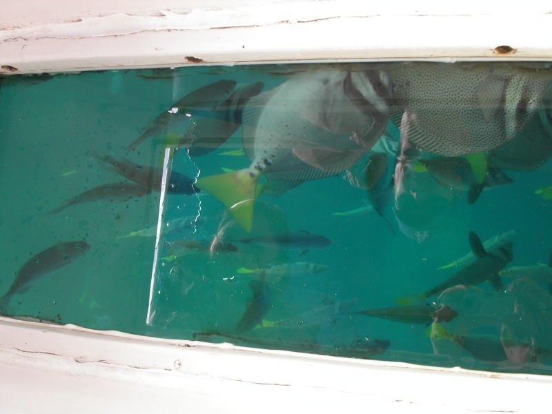 Cabo San Lucas, Mexico